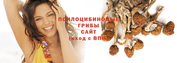 ПСИЛОЦИБИНОВЫЕ ГРИБЫ Зеленокумск