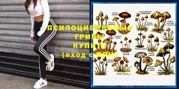 ПСИЛОЦИБИНОВЫЕ ГРИБЫ Зеленокумск