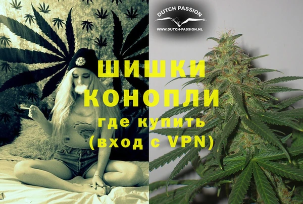 ПСИЛОЦИБИНОВЫЕ ГРИБЫ Зерноград