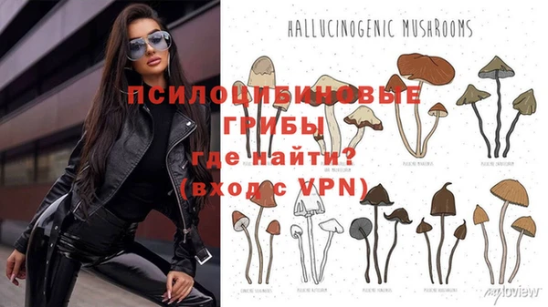 ПСИЛОЦИБИНОВЫЕ ГРИБЫ Зерноград